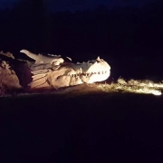 Dragon from Beowulf Legend, at West Stow Anglo Saxon Village Oct 2016