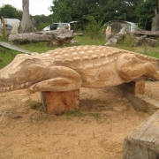 Crocodile - Woodbridge